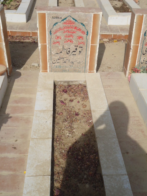15289 – Touqeer Fatima