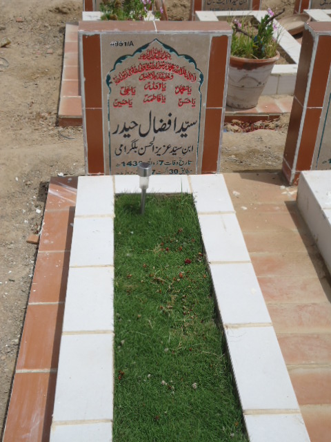 14951 – Syed Afzaal Haider
