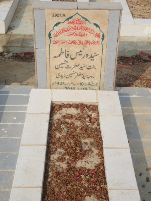 12927 – Syeda Raiees Fatima