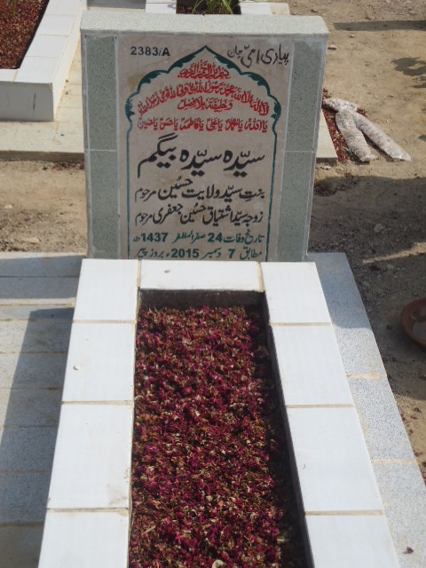 12383 – Syeda Syeda Begum