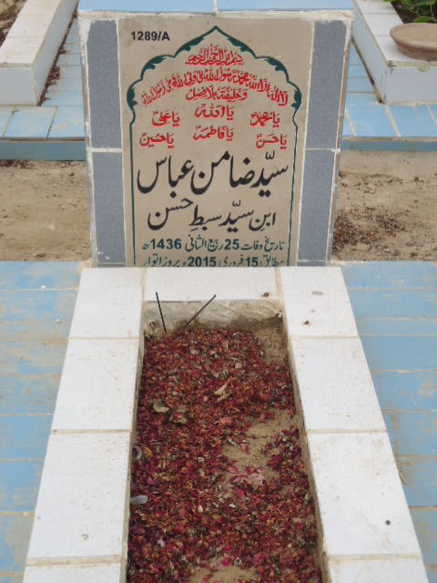11289 – Syed Zamin Abbas