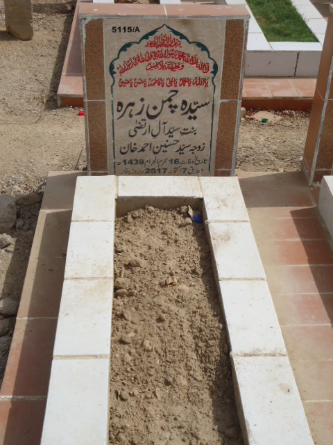 15115 – Syeda Chamman Zehra