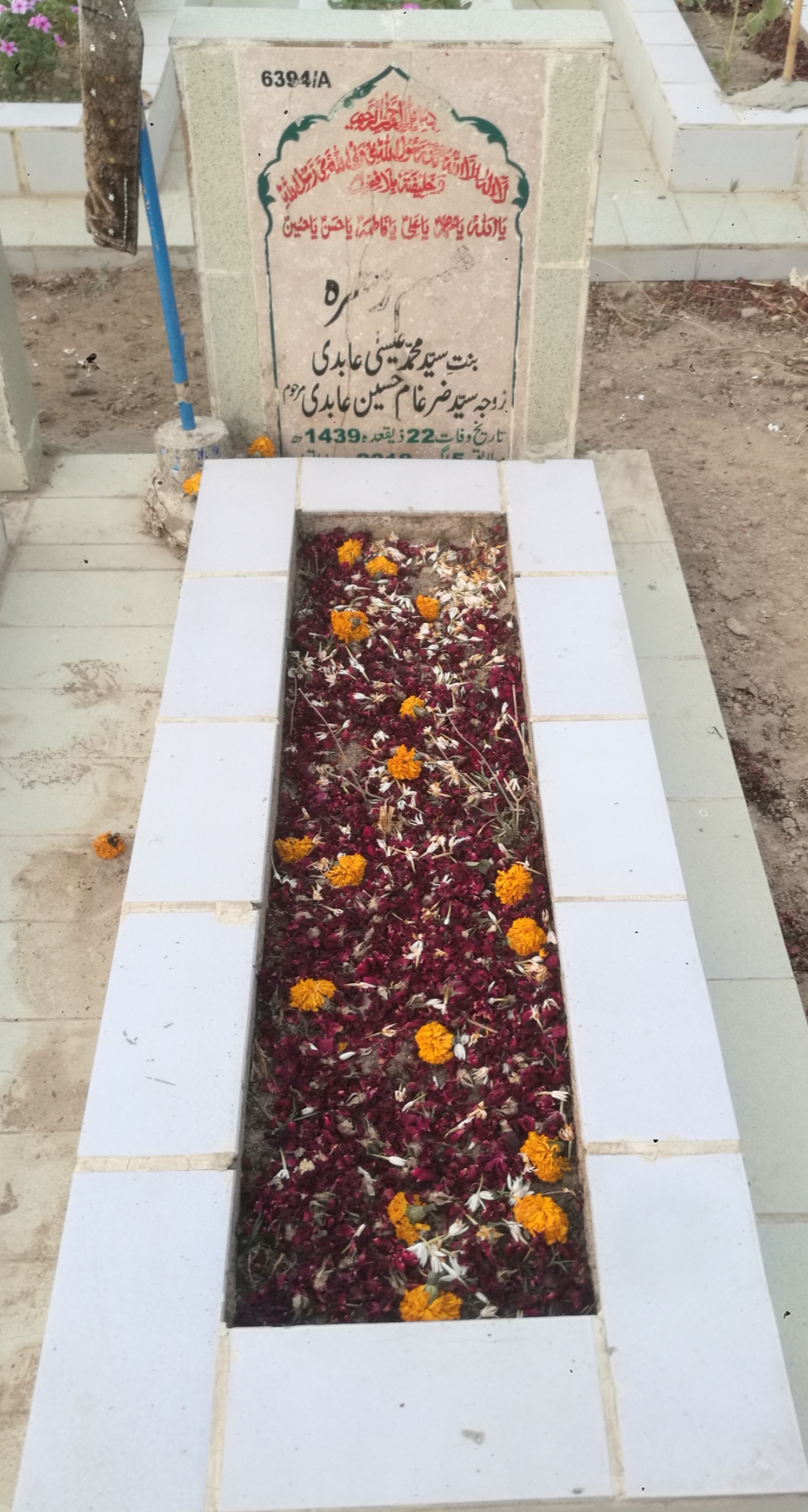 16394 – Shamim Zehra