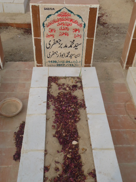 15401 – Syed Muhammad Mudaber Jaffery