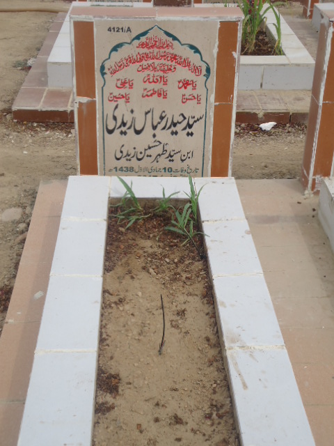 14121 – Syed Haider Abbas Zaidi