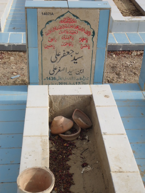 11407 – Syed Jaffar Ali