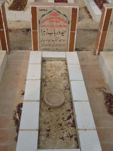 15479 – Syeda Rubab Zehra