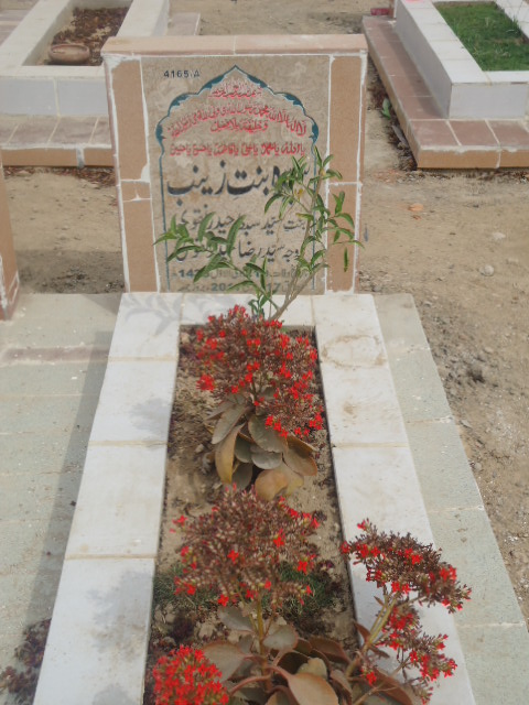 14165 – Syeda Binte Zainab