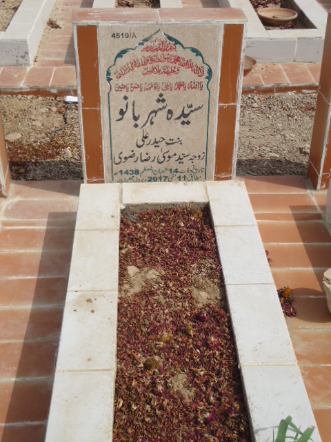 14519 – Syeda Sheharbano