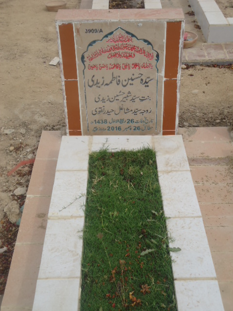 13909 – Syeda Hasnain Fatima Zaidi