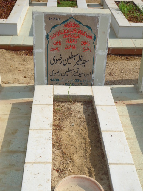 16177 – Syed Tatheer Sibtain Rizvi