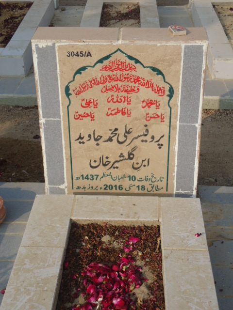 13045 – Prof Ali Muhammad Javeed