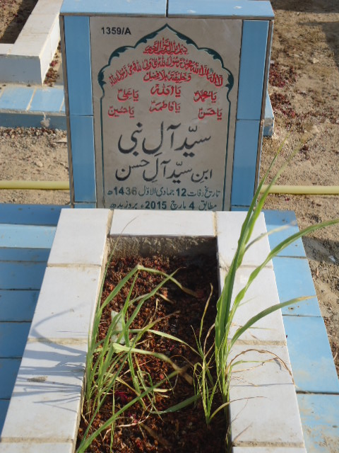 11359 – Syed Alay Nabi