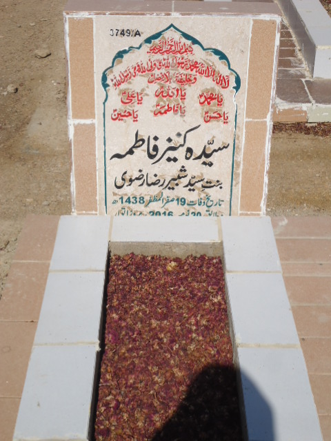 13749 – Syeda Kaneez Fatima
