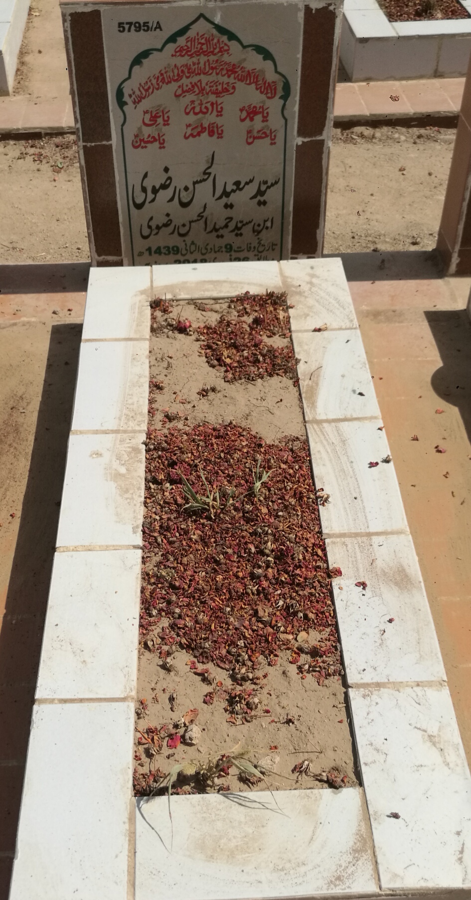 15795 – Syed Saeed Ul Hassan Rizvi
