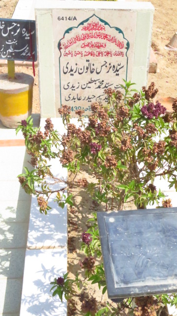 16414 – Syda Narjis Khatoon Zaidi