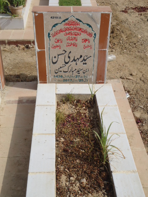 14210 – Syed Mehdi Hassan