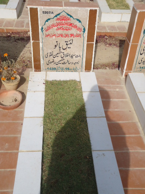 15207 – Laiq Bano