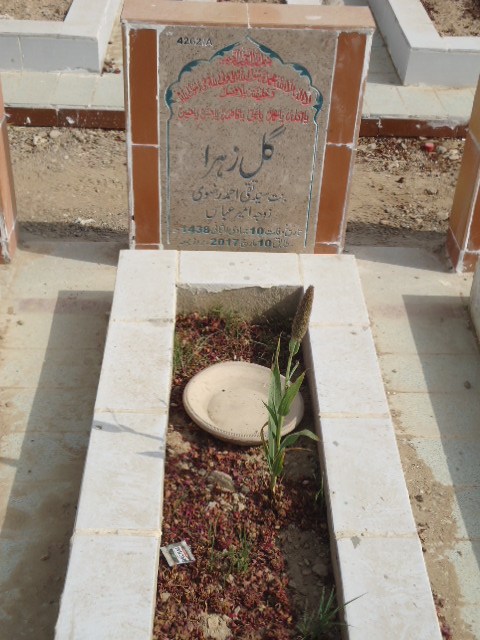 14262 – Gul Zehra