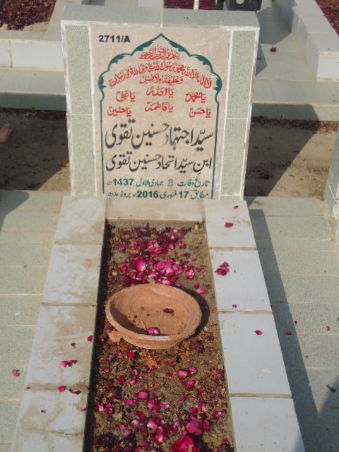 12711 – Syed Ijtehad Hasnain Taqvi