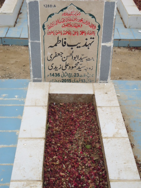11288 – Tehzeeb Fatima