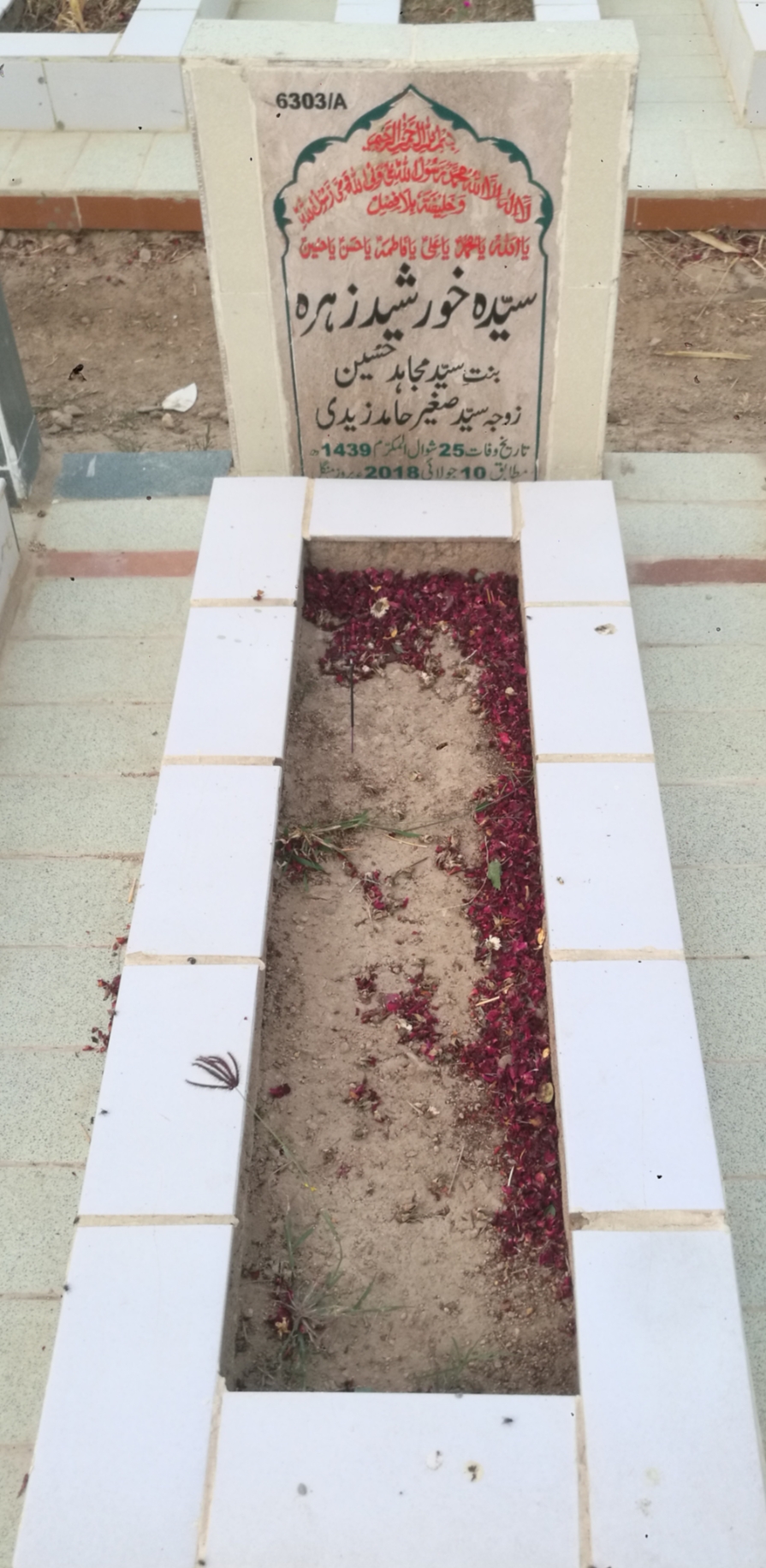 16303 – Syeda Khursheed Zehra