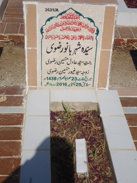 13631 – Syeda Shehar Bano Rizvi