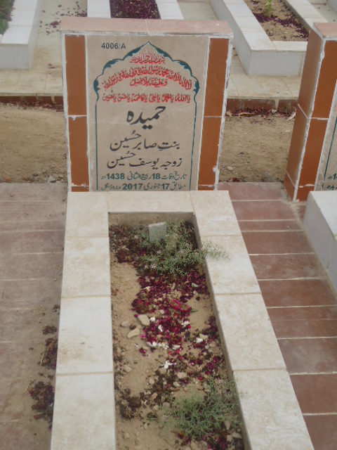 14006 – Hameeda