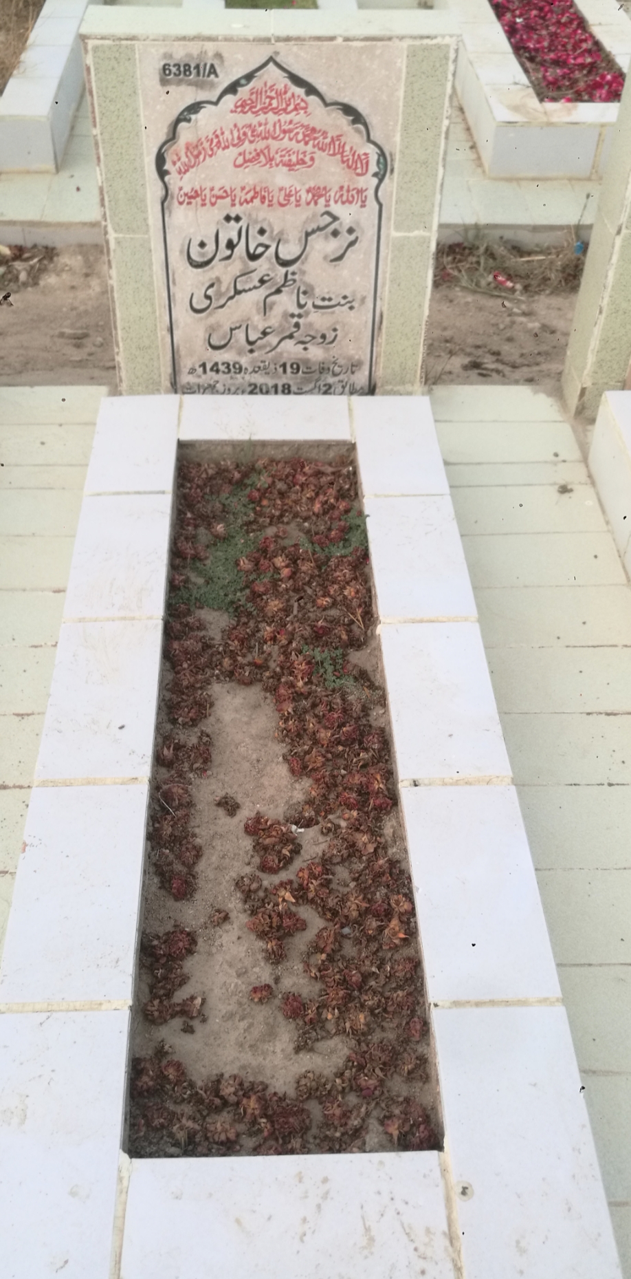 16381 – Narjis Khatoon