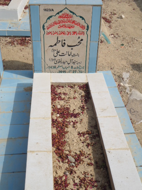 11623 – Mohib Fatima