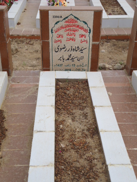 13386 – Syed Shahzar Rizvi