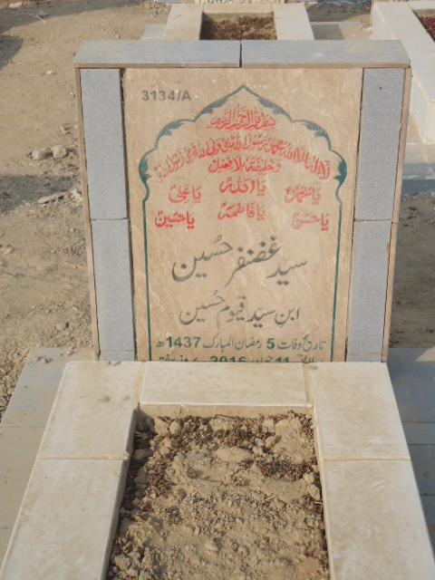 13134 – Syed Ghazanfar Hussain