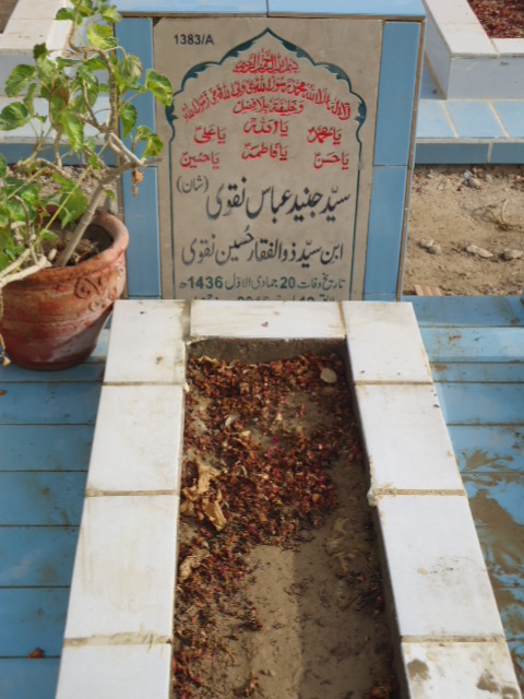 11383 – Syed Junaid Abbas Naqvi