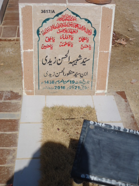 13617 – Syed Shabhi Ul Hassan Zaidi