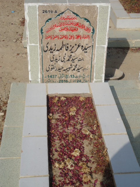 12619 – Syeda Aziz Fatima Zaidi