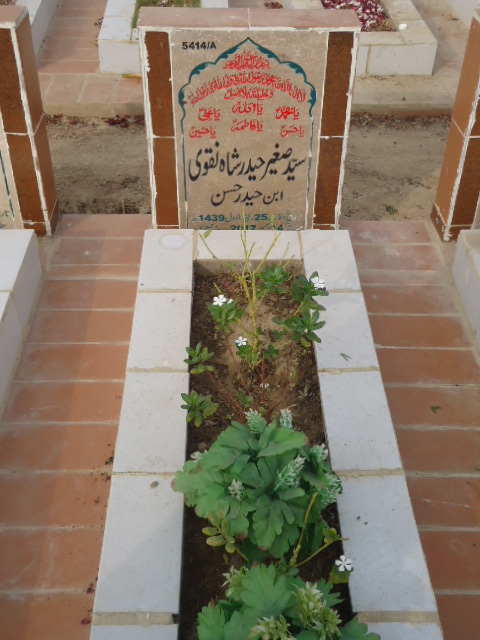 15414 – Syed Sagheer Haider Shah Naqvi