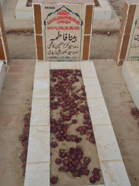 15435 – Bina Fatima