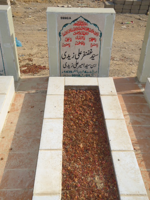 15996 – Syed Ghazanfar Ali Zaidi