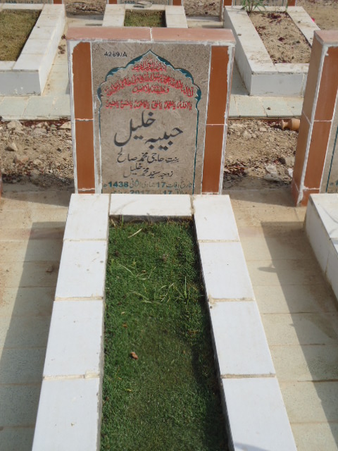14289 – Habiba Khalil