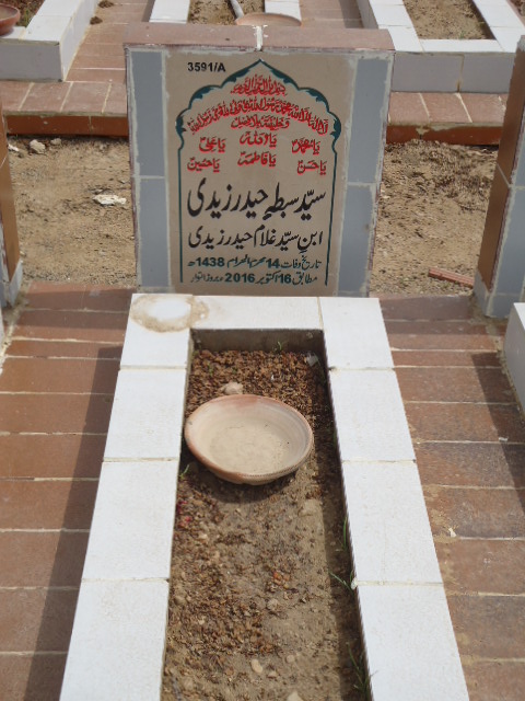 13591 – Syed Sibte Haider Zaidi