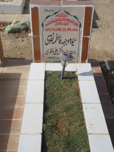 13422 – Syeda Wajhi Fatima Naqvi