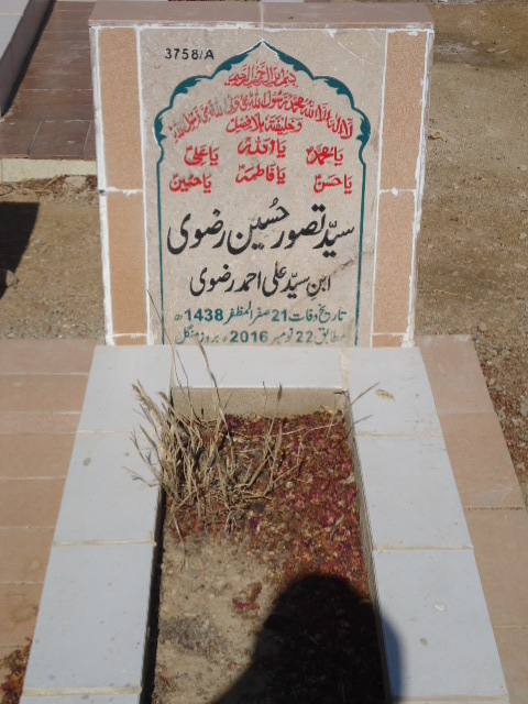 13758 – Syed Tassawwar Hussain Rizvi