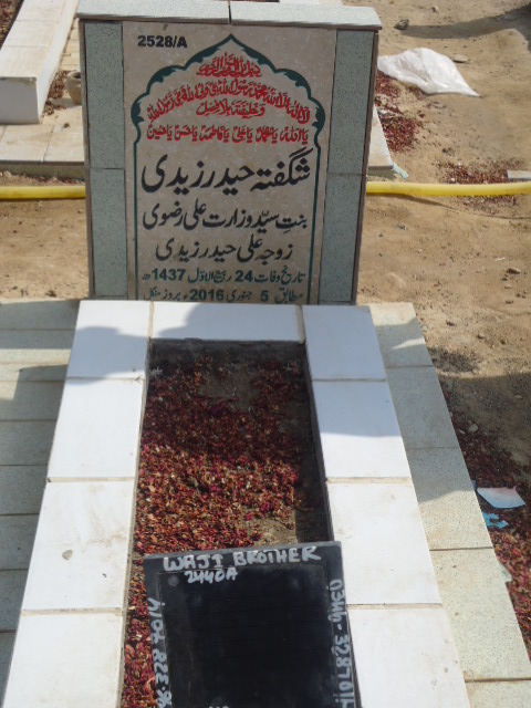 12528 – Shugufta Haider Zaidi