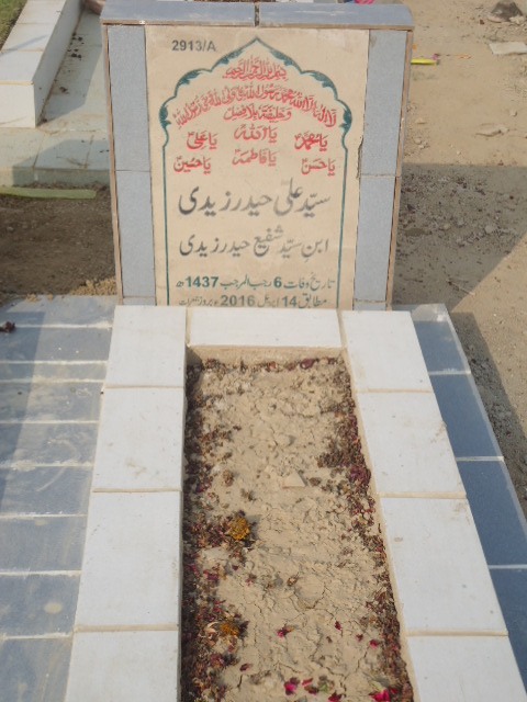 12913 – Syed Ali Haider Zaidi