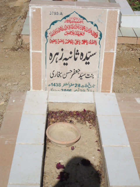 13789 – Syeda Sania Zehra