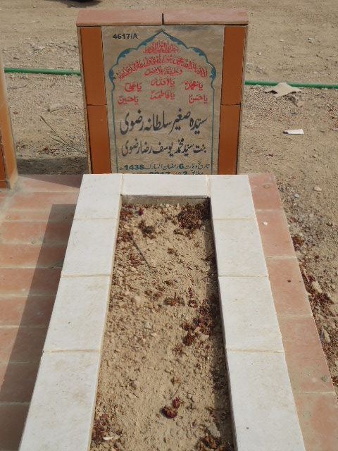 14617 – Syeda Sagheer Sultana Rizvi