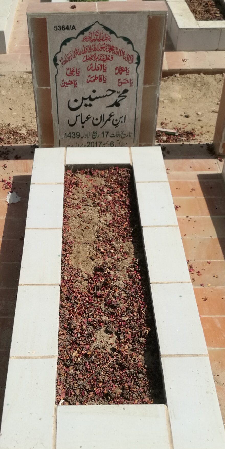 15364 – Muhammad Hasnain