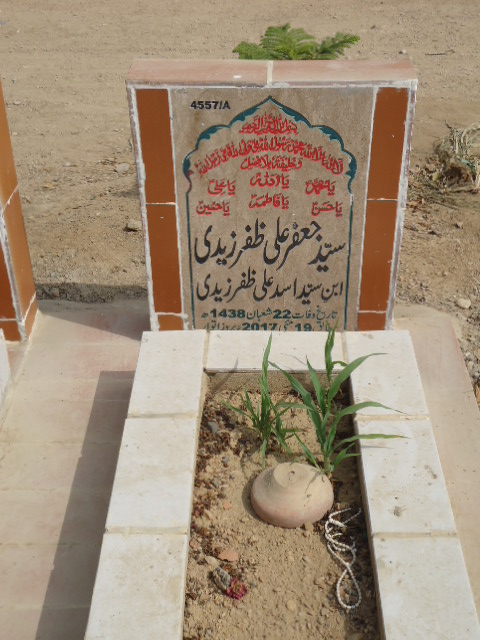 14557 – Syed Jaffar Ali Zafar Zaidi