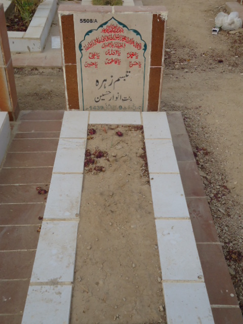 15508 – Tabbasum Zehra