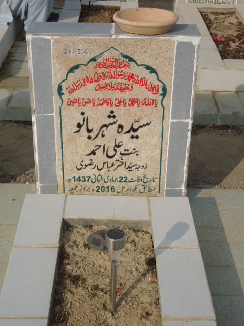 12865 – Syeda Shehar Bano